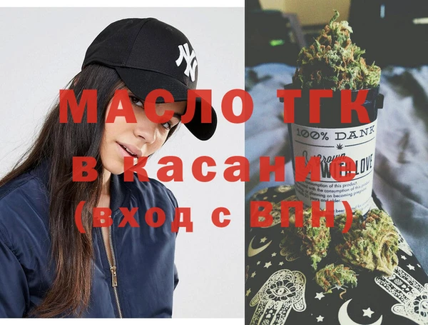молекула духа Новозыбков