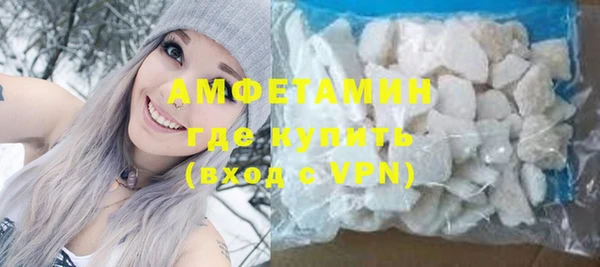 молекула духа Новозыбков
