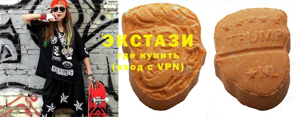 молекула духа Новозыбков