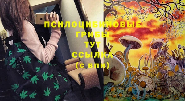 соль курить ск Нефтекумск