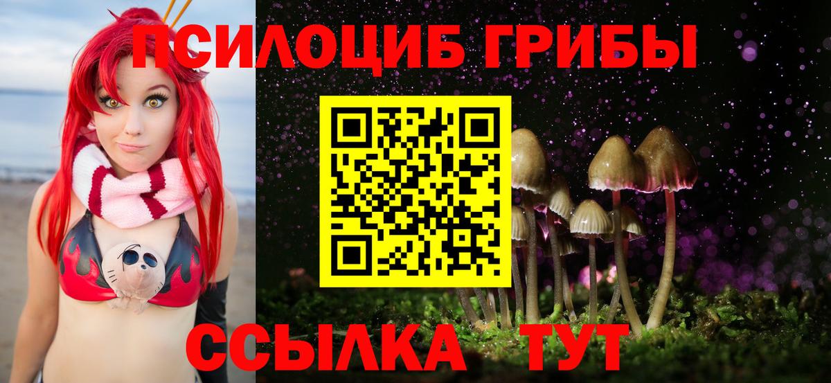 Салават  Псилоцибиновые грибы Psilocybe  Вход с VPN 