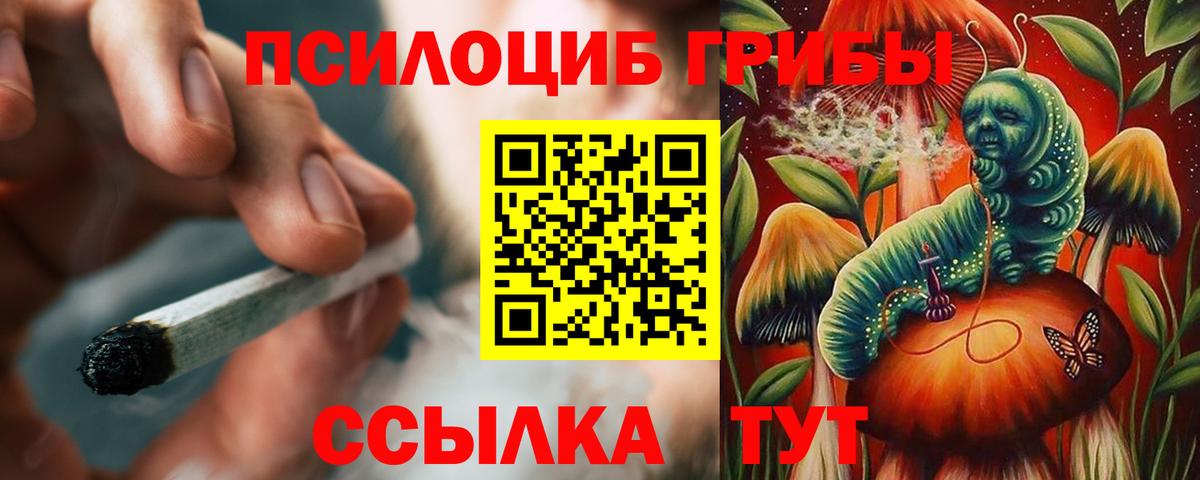 Галлюциногенные грибы прущие грибы Салават
